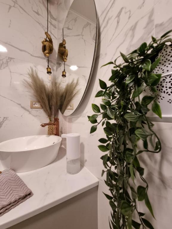 Apartment Amour Luxe 斯普利特 外观 照片